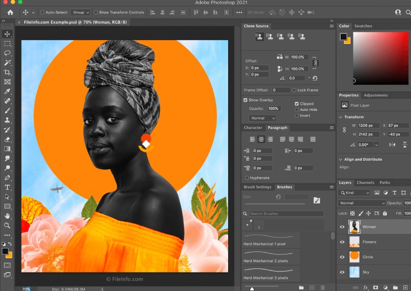 illustrator